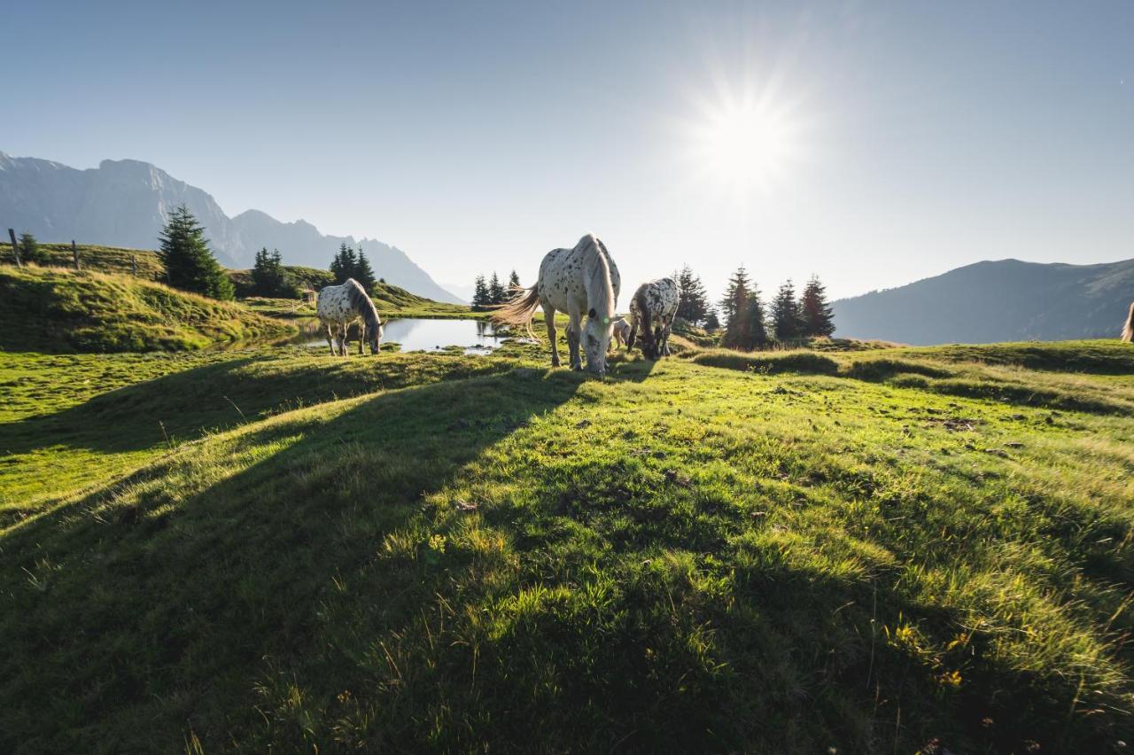 Alpenparks Hotel & Apartment Hochkoenig Mühlbach am Hochkönig Eksteriør billede